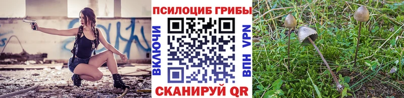 Галлюциногенные грибы GOLDEN TEACHER  кракен ТОР  Тетюши  где продают наркотики 